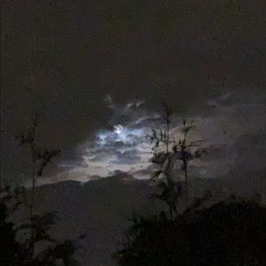 Meet your Posher, Kelsang